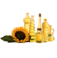 Untitled design (21)