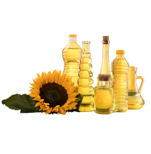 Untitled design (21)